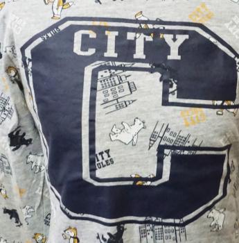 Langarmshirt Gr. 98 von Kiki & Koko (1776)